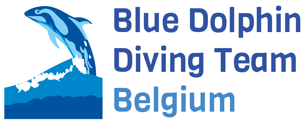 Blue Dolphin Diving Team
